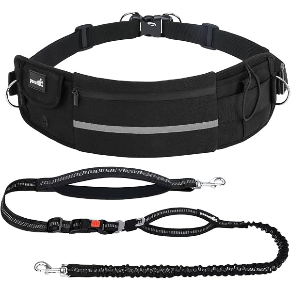 Kurgo Ceinture Mains Libres Pour Course Et Randonnée - Réfléchissante, Réglable Avec Bouteille D'Eau Et 2 Clips Pour 2 Chiens
