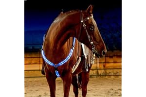 SSZYace Adjustable LED Horse Breastplate Collar, Nylon LED Night Flashing Light Bar Harness Tack Equestrian Safety Gear with 3 Lighting Modes and USB Rechargeable (Blue)