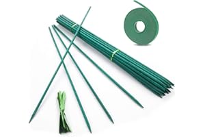 FUN GIFT Lot de 50 tuteurs de plantes en bambou de 45 cm avec 50 liens métalliques pour la maison, le jardin, les plantes grimpantes