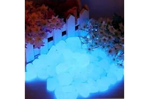 Smooce 200 Pezzi Pietre Luminose da Giardino, Decorative Ciottoli Brillanti per Corridoio Aperto, Acquario, Cortile