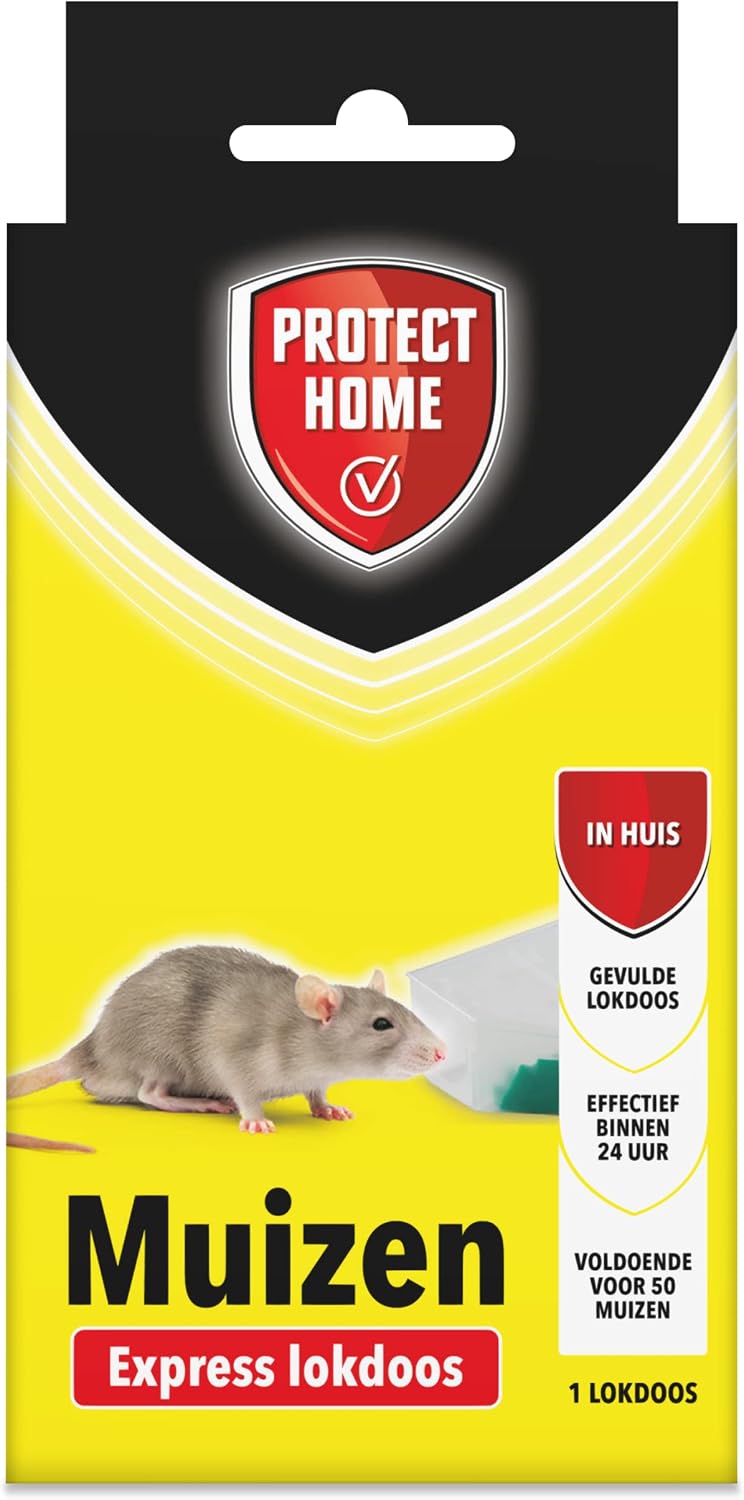Vue 9