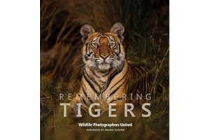 Remembering Tigers (Remembering Wildlife, Band 9)