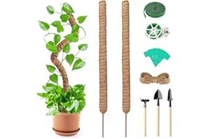 Swavitie Bastoncini per Piante Rampicanti Monstera, 90 cm, 2 Pezzi, Fibra di Cocco e Muschio, Verde