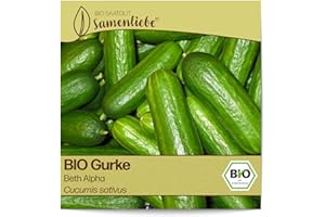Samenliebe BIO Gurken Samen alte Sorte Beth Alpha Salatgurke Snackgurke grün 10 Samen samenfestes Gemüse Saatgut für Gewächshaus Freiland und Balkon BIO Gemüsesamen