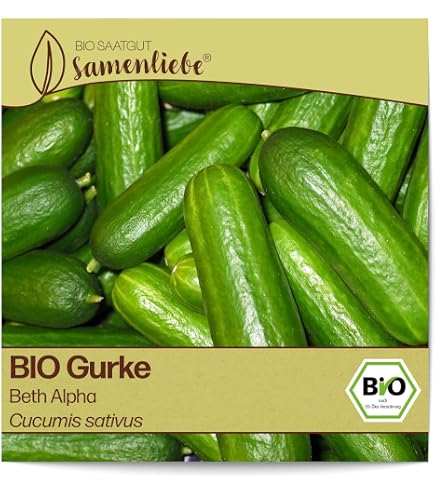 BIO-Tomatensamen ‚Matina‘ – Frühe Freilandtomate, Platzfest, Ertragreich, Für Ca. 20 Pflanzen, Samenfestes Saatgut