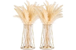 Sziqiqi Dorado Vidrio Jarrones Decorativos Modernos, 2 Piezas Metal Jarrones de Flores para Orquideas, Jarron Geométrico para Mesa, Jarron Decorativo para Sala Salon Cocina Hogar Escritorio Habitacion