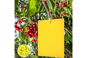 Panngu 100 Stück Gelbfalle Fliegenfalle, Professionell Gelbsticker Fänger für Kirschfruchtfliege Kirschbaum, Himbeere, Nektarinenbaum, Pflaumenbaum, Apfelbaum, Weinrebe, Ananasbaum