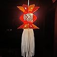 ALILA Hanging Lantern Akash Kandil for Diwali Balcony Lamp Shade Jhumar Home Living Room Diwali Xmas Christmas Decor Decoration, (Self Assembly - DIY: DO IT Yourself), Mix Colour