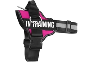 JUSTYEZI No Pull Dog Harness, Adjustable Assistance Service Dog Vest with Buckle, Reflective No-Choke Pet Vest Harness with Easy Control Handle for Training