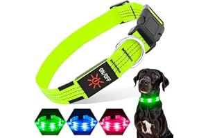 PZRLit LED Light Up Dog Collars USB Rechargeable Waterproof, Full Adjustable Lighted Glow Dark Dog Collar Light for Night Walking for Small Medium Large Dogs (Green, Small)