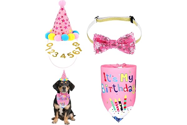 4 Pcs Dog Birthday Decorations, Pink Set with Birthday Cap, Dress and Party Accessories, Fun and Festive for Pet Celebrations, Photo Sessions and Social Media
