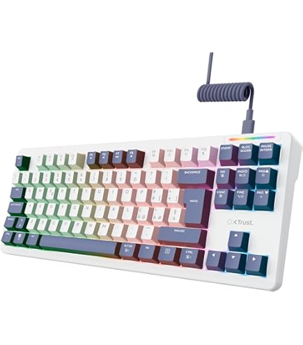 Dark Project 98 SUNSET Gaming-toetsenbord | ISO meertalig | G3MS Sapphire Ingevette schakelaars | Ingevette stabilisatoren | 98 toetsen | Hot-Swap | RGB