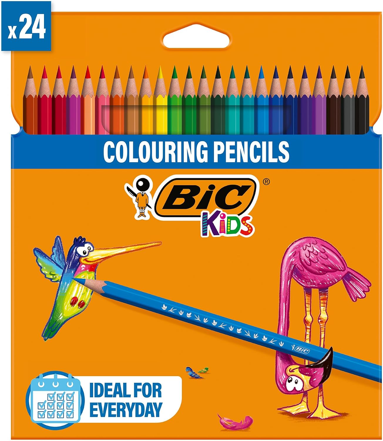 Prise en Main & Utilisation au Quotidien : BIC Kids Tropicolors Colouring Pencils Drawin