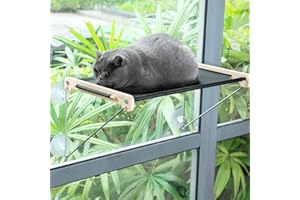Pecute Hamac de Fenêtre Chat 58 * 36 cm, Chaise Longue de Fenêtre pour Chat, Observer Les Oiseaux Hamac pour Chaton, Chaton Rebord Transparent, Facile à Monter, Capacité Charge maximale 15KG