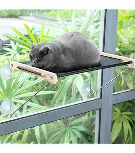 Kattenraam zitstokken, 4 sterke zuignappen, opvouwbaar kattenbed voor binnen, massief metalen frame en zachte omkeerbare hoes van twee stoffen voor maximaal 40 lbs. (grijs, L