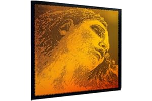 Pirastro EVA415091 Evah Pirazzi Violine Gold Set mit Silber G, 0,6 x 10,2 x 10,2 cm