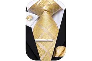 Hi-Tie Silk Ties for Men Solid Paisley Striped Necktie Pocket Square Cufflinks Clip Pin Tie Set