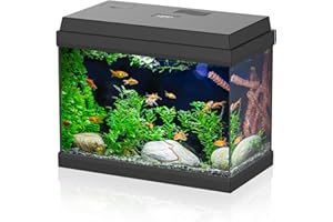 AQPET Acquario in Vetro per Pesci Tropicali Completo di Accessori Filtro Luce Simply, 30 39x22x30 cm 30 Litri