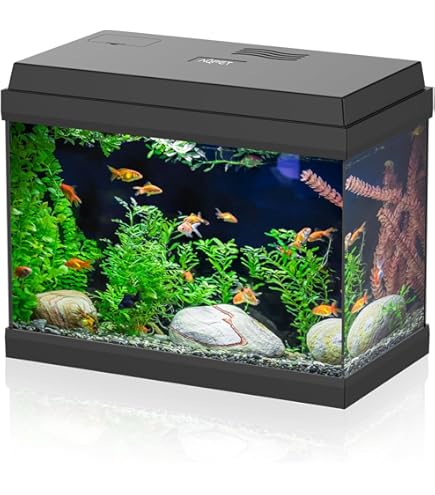 Acquario Blau Cubic Panoramic 28 Litri - 40x25x28 Cm - Con Coperchio In Vetro E Tappetino - Design Moderno - Foto 4