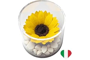 PREMIUM-ROSE.COM Box Tondo con Girasole Stabilizzata e Marmo di Carrara, Idea Regalo Unica e Raffinata, Idea Regalo per lei, Natale, Cubo Rosa Fucsia, Fatta in Italia (Girasole 1999)