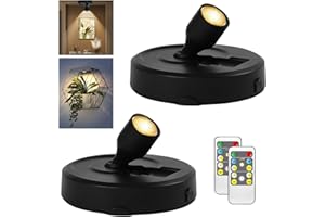 RAHAN 2Pack Battery Powered LED Spotlight Picture Light, Indoor Uplighting with Remote, Picture Frame Lights, Art Display Lights for Dartboard Portrait Paintings Artwork