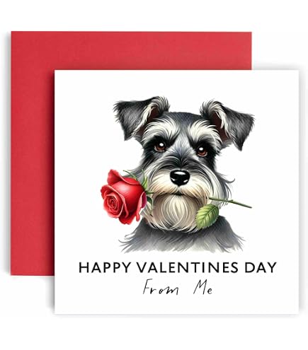 Carte D’anniversaire Miniature Schnauzer - Désolé Que Tu Partes, Sous Cellophane