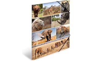 ‎HERMA HERMA Sammelmappe A3 Löwe, Kinder Eckspanner-Mappe aus Pappe mit Afrika Tier Motiv, Gummizug, Innenklappen und Innendruck für Jungen und Mädchen