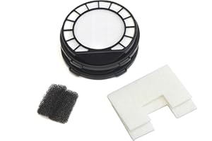 LTWHOME Sin marca Pre-Motor y HEPA de Filtro Kit Type 69 de reemplazo para Vax C87-PVXP-P,C87-VC-B,C88-T2-P,C88-T2-S,C88-VC-B Aspiradora (2 Piezas)