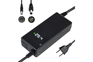 YANGZIDIANYUAN Cargador batería Litio 24V 29.4V 4A, con Pantalla LED Funciones de protección reparación múltiple, Certificado por CE, Equipado con Conector RCA 8 mm, DC 5.5 * 2.1 mm