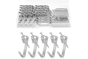 vsshe Kit per appendere quadri, 100 pcs Ganci per quadri resistenti, Gancis per cornici con chiodi, Kit di Gancis Cornice per Pareti Dure reggono 30 libbre (30LB), per pareti dure,ufficio,casa,argento