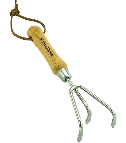 Raschietto Per Fughe Kent & Stowe Con Manico Lungo 160 Cm - Acciaio Inossidabile Per Rimuovere Erbacce E Muschio - Foto 12