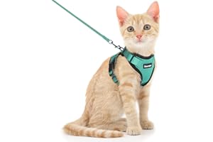 Dooradar Katzengeschirr mit Leine Ausbruchsicher, Katzenleine mit Geschirr für Katzen Mittelgroße, Reflektierend, Katzengeschirr Große Katze, S, Grün