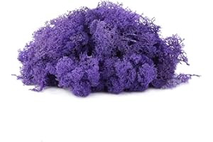 ‎IHKFILAN IHKFILAN Islandmoos Zum Basteln Moos Pflanzen Deko Mooswand Lebend Konserviertes Haltbares Natur Moos Dekomoos für Die Zu Ostern,Modellbau (Violett, 100g)