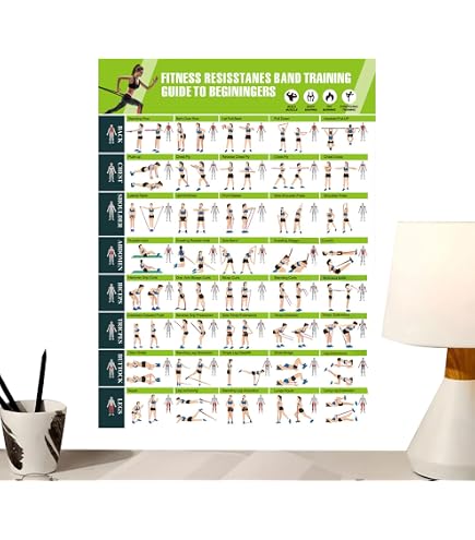 Affiche D'Exercice Bandes De Résistance QuickFit Double Face Larmée 45,7 X 68,6 Cm - Guide Entraînement
