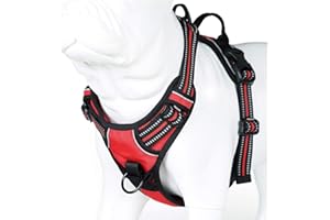 MOKCCI Truelove Soft Front Dog Harness .Reflective No Pull Harness with Handle and 2 Leash Attachments