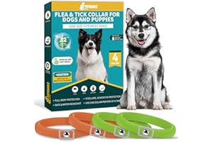 YOTANGO Collare Antiparassitario per Cani, 4 Pezzi Collare Antipulci Cane, Naturale Collare Cane Antiparassitario, Regolabile 32 Mesi di Protezione Antizecche per Tutti i Tipi di Cani-Arancione&Verde