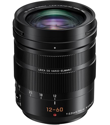 Panasonic LUMIX Professional 12-60mm Camera Lens, Leica DG Vario