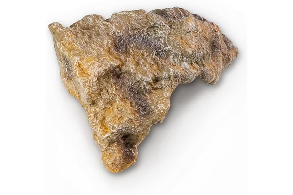Reptile Rock Reptile Hide Cave Hideout Terrarium Habitat Décor Ornement Abri pour Serpent Geckos Lézards Grenouilles Tortues Amphibiens Ermite Crabe Moyen