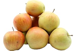 ‎BLEICHHOF Bleichhof Äpfel Rubinette - saftig, fein-säuerliches Cox Orange Aroma, aus der Pfalz (5kg) Neue Ernte