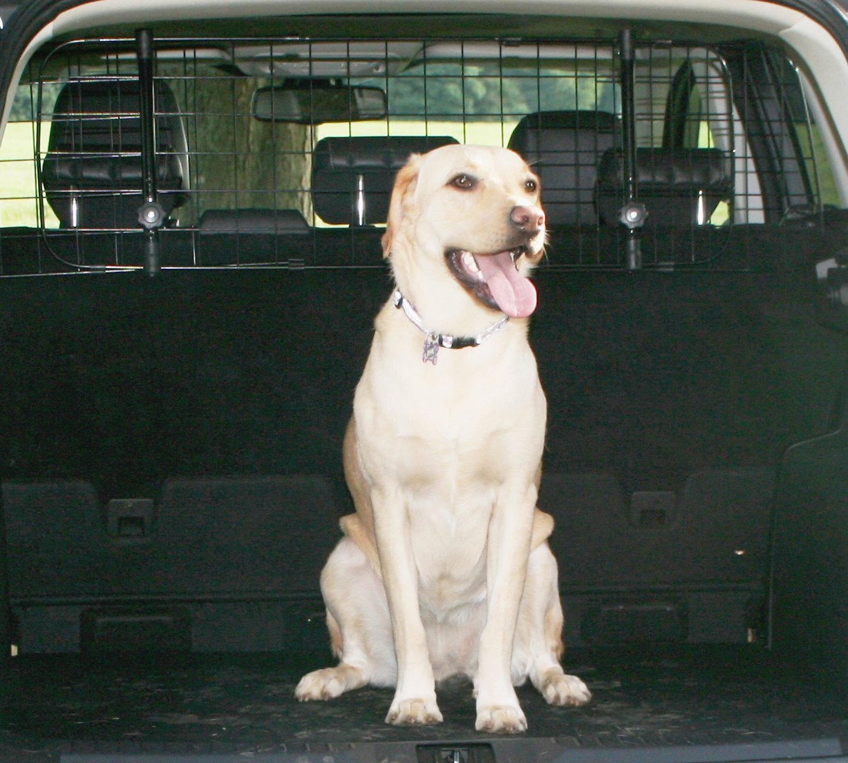Xtremeauto 174 Universal Mesh Headrest Dog Guard Barrier