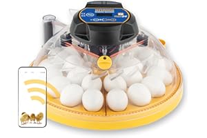 Brinsea Maxi 24 EX Connect Full-featured App Controlled 24 Hen Egg Incubator