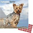 Yorkshire Terrier Calendar 2025 | 16 months | with FREE Organisational Stickers