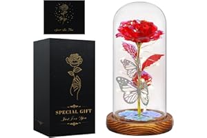 SEACHRGIF Rose Eternelle,Cadeau Femme Noel,Rose Belle et la Bete,Cadeaux Noel pour Maman,Sa Copine,Mamie,Soeur,Belle Soeur,Maitresse ,Meilleure Amie Anniversaire, Saint-Valentin, Thanksgiving Idee Cadeau Noel