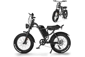 Ealirie 20'' Fat Tire Electric Bike, Mountain Bike 20.8Ah Li-Ion Battery, Powerful Motor Beach Snow E-bike, Shimano 7 Speed Transmission Gears for Adults