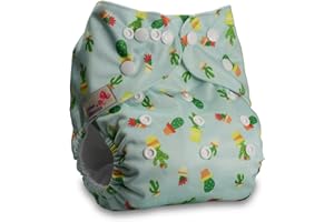 Littles & Bloomz, Reusable Pocket Cloth Nappy, Fastener: Popper, Set of 1, Pattern 20, Without Insert
