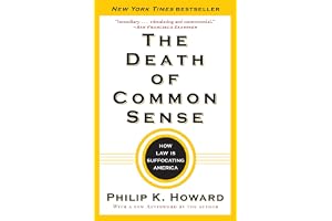 The Death of Common Sense: How Law Is Suffocating America