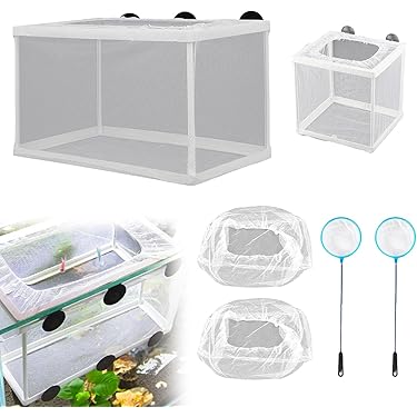 Grote Isomo Thermobox 75 Liter | Per Stuk Verkrijgbaar En Snel Geleverd