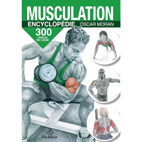 Le rôle des muscles stabilisateurs en musculation