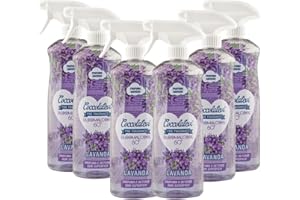 COCCOLATEVI Bloomalcool 60° 750 ml, Detergente Multiuso Profumato, Deterge e Profuma, Ideale per Cucina, Bagno e Superfici Dure, Senza Risciacquo (750 ml (confezione da 6), Lavanda)