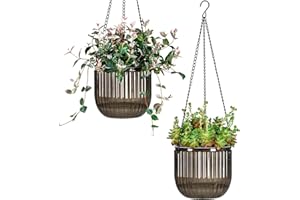 Josteve 6.5 Inch 2 Pcs Self Watering Hanging Planter Indoor Plant Pots with Drainage Holes, Outdoor Hanging Planters Flower Pot Basket, Visible Water Level, Plant Hanger Home Decor, Gardening